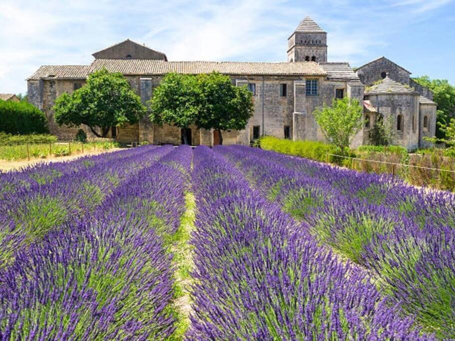Camille - Charmant T2 Moderne Et Calme Châteaurenard Extérieur photo